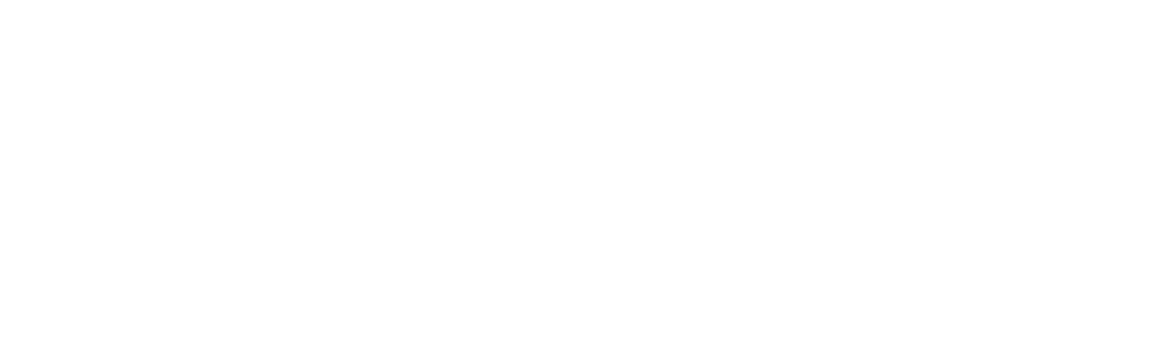 partner-logo