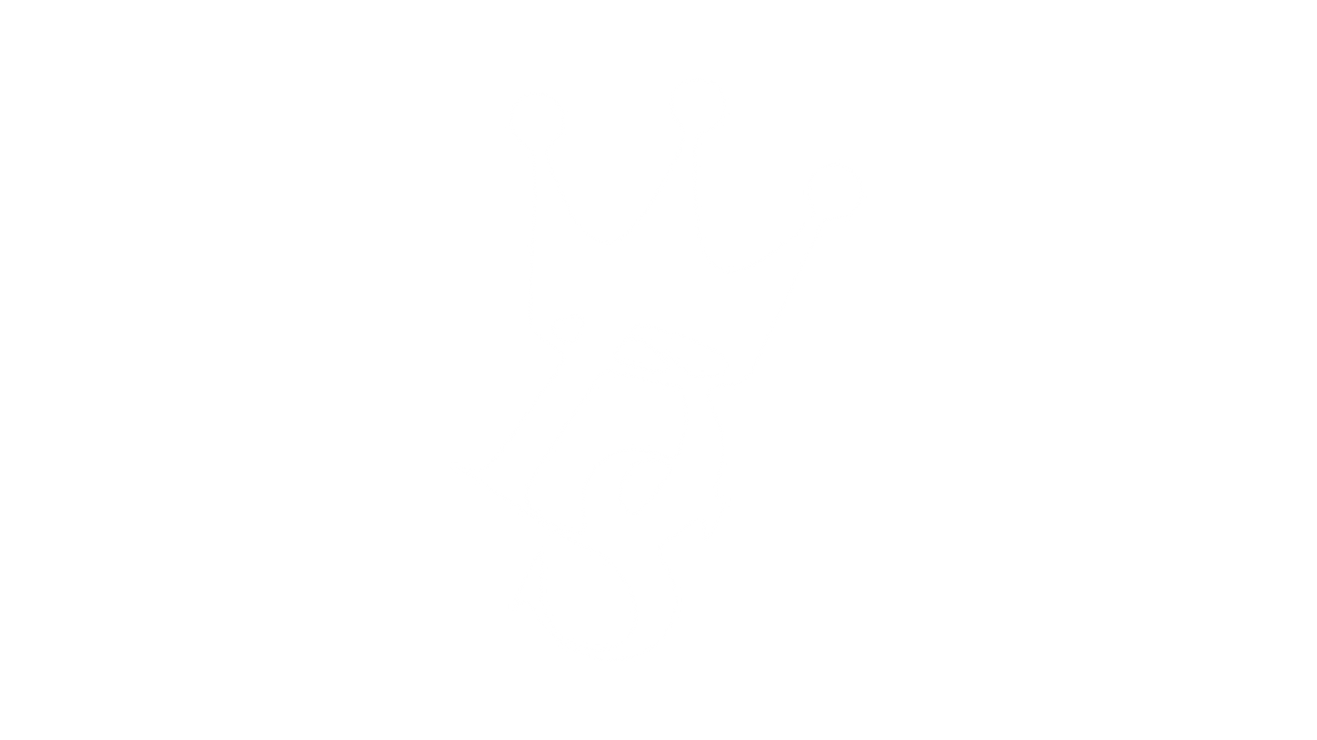 partner-logo