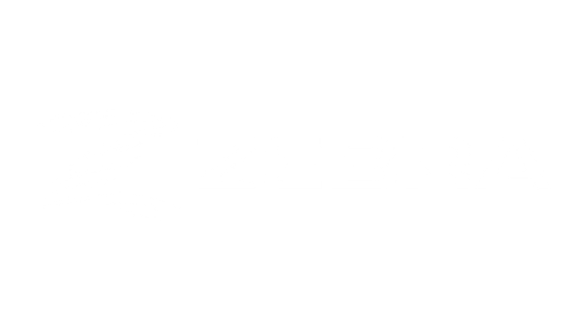 partner-logo